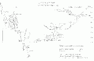 20250702194611!Б3б-02-Scheme Nadezhda.gif