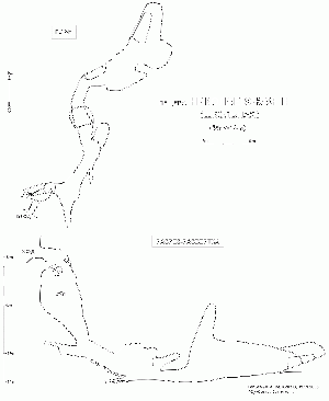 20250702195357!Б3в-06-Николаевская 2.gif