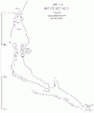 Б6а-Heavy birthday.gif