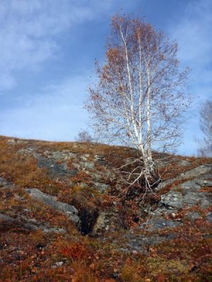 450px-Б2а-18-Chabanvhod.jpg