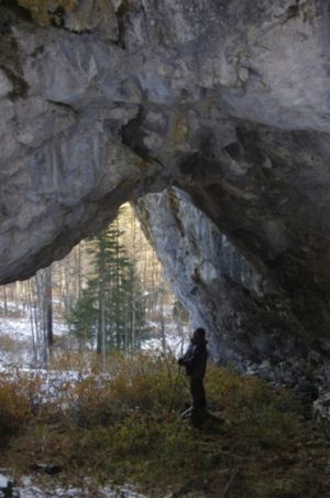 398px-Статья-о арках image2.jpg