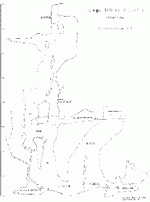Б3в-05-Пещера Пухова разрез 2.gif