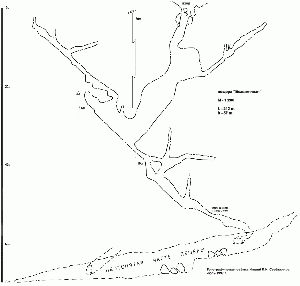 1255px-Б6а-03-Scheme bezym razrez.gif
